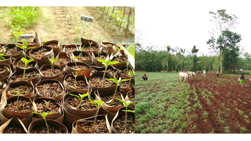 Sustainable Farming for Sustainable Agriculture